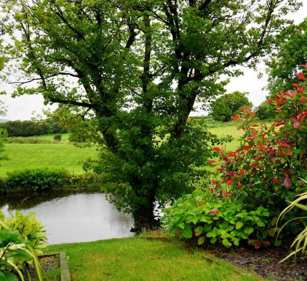 De perfecte balans tussen bestrating en groen in je tuin
